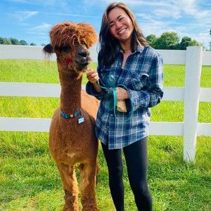 Meet your Posher, Anne